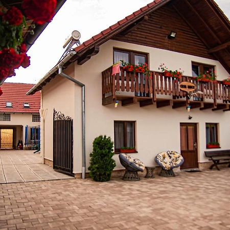 Casa Iancu 호텔 Jina 외부 사진