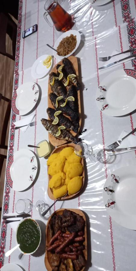 Casa Iancu 호텔 Jina 외부 사진