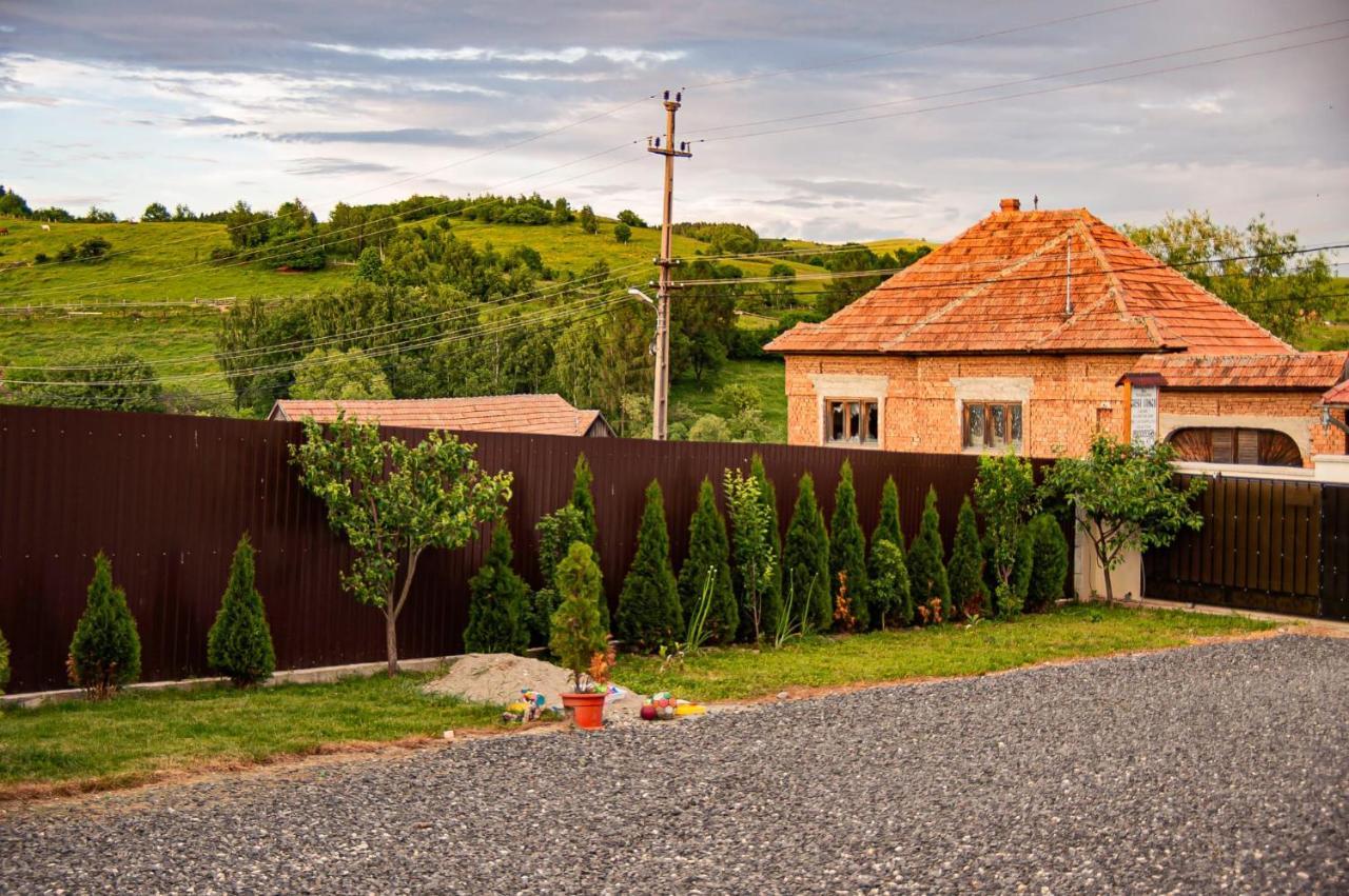 Casa Iancu 호텔 Jina 외부 사진