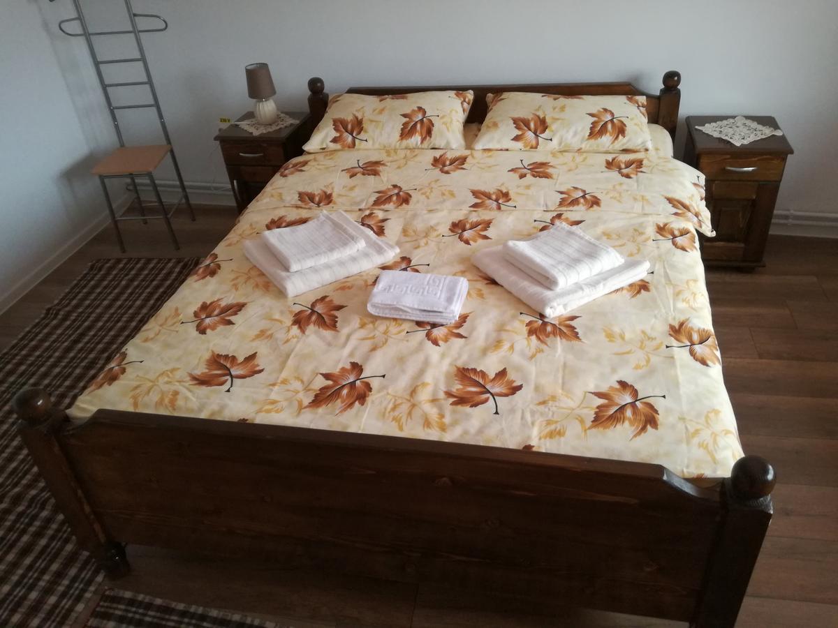 Casa Iancu 호텔 Jina 외부 사진