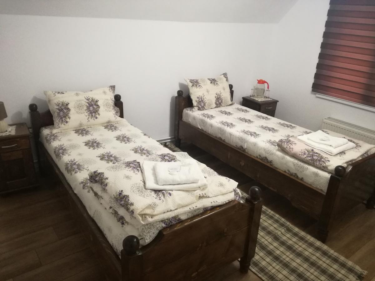 Casa Iancu 호텔 Jina 외부 사진
