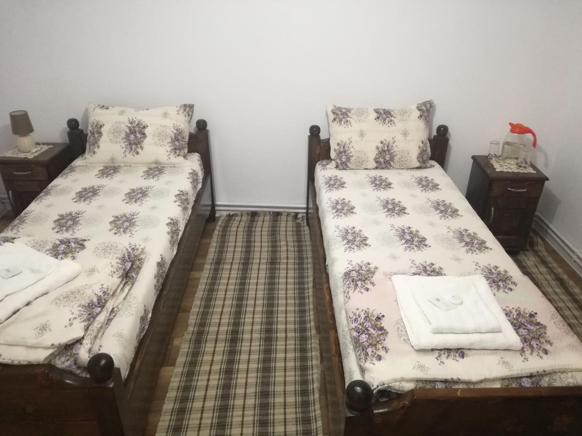 Casa Iancu 호텔 Jina 외부 사진