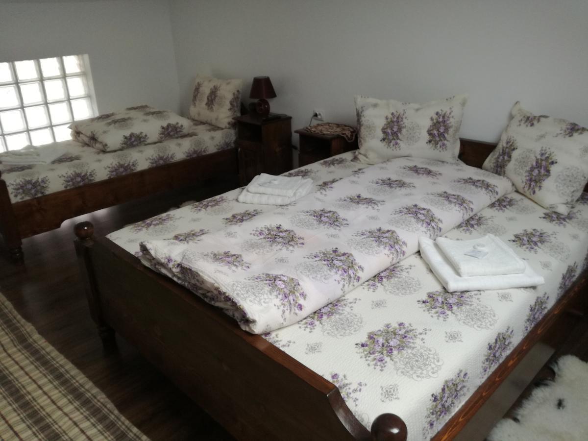 Casa Iancu 호텔 Jina 외부 사진