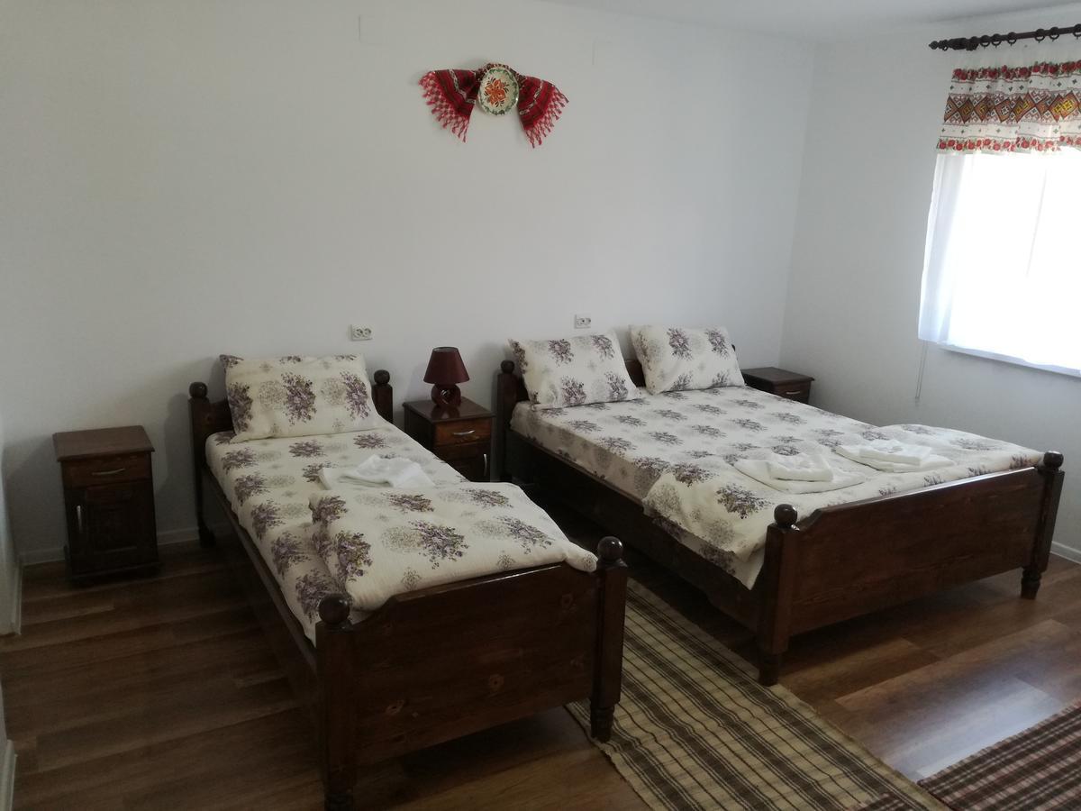 Casa Iancu 호텔 Jina 외부 사진