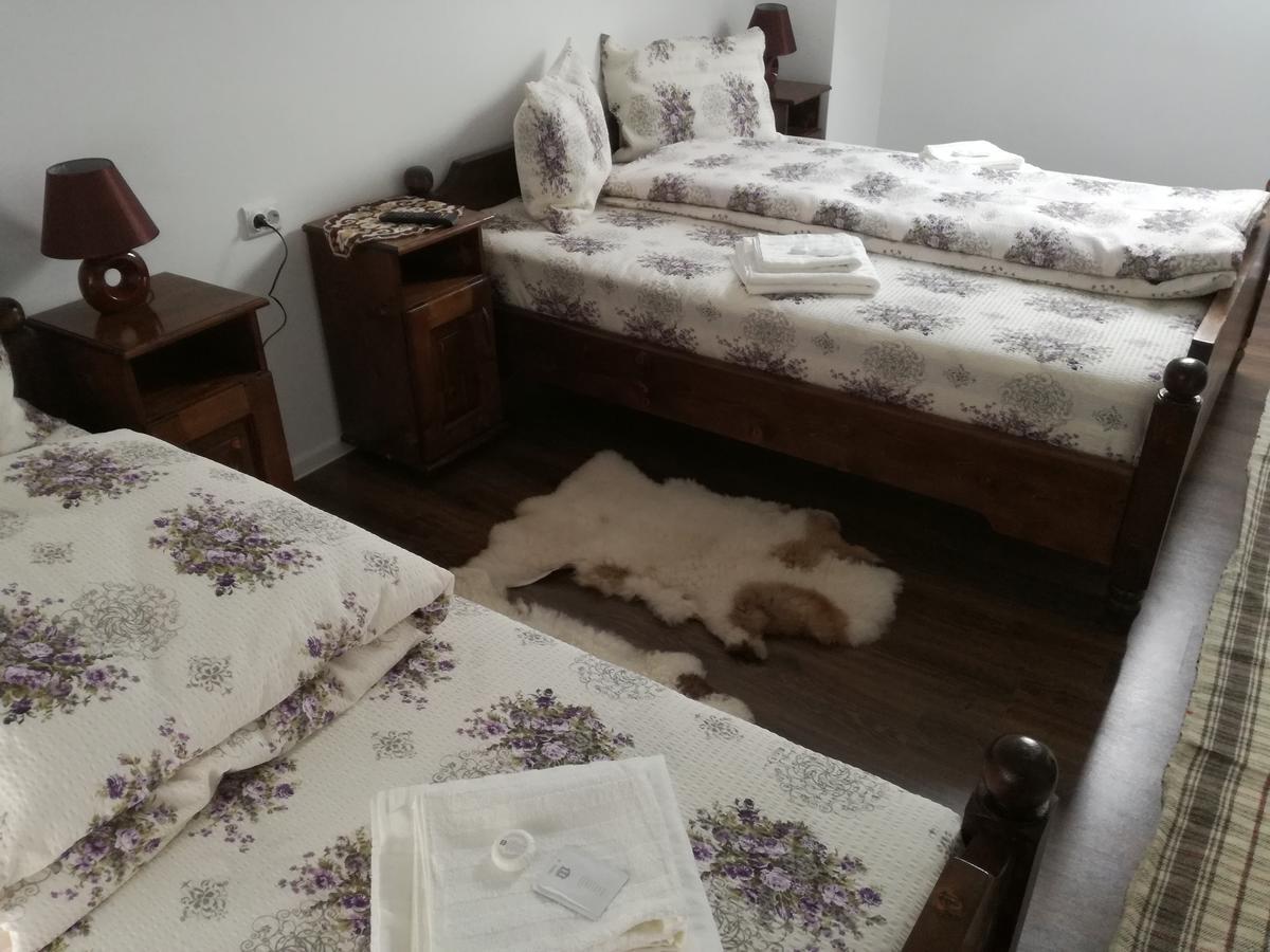 Casa Iancu 호텔 Jina 외부 사진