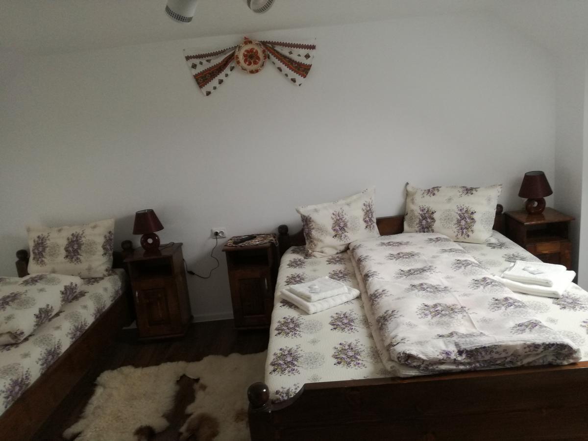Casa Iancu 호텔 Jina 외부 사진